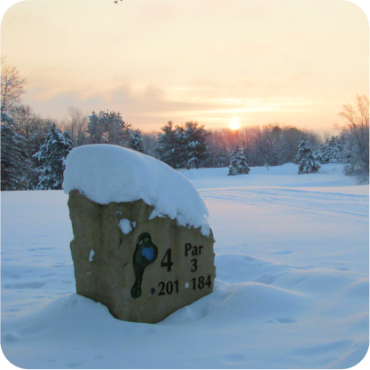 snow_stone Snow Stone